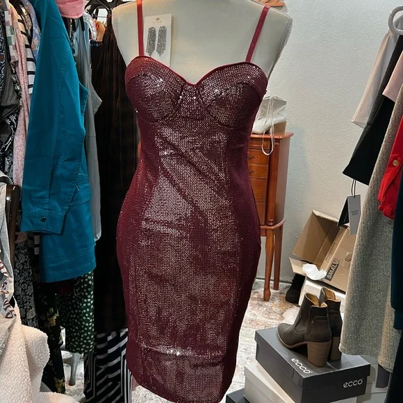 NWT bundle bodycon dress and earrings - Picture 1 of 6